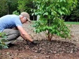 小女孩出生才16個月，被父母虐待致死，韓國虐童致死案