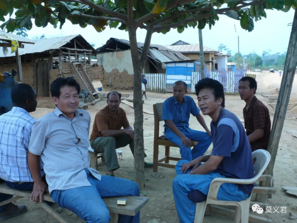 金富豪大酒店長草了