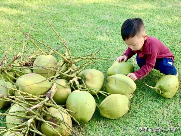 我們又雙叒叕搬家了！500㎡泰國深山別墅，清風徐來鳥語花香