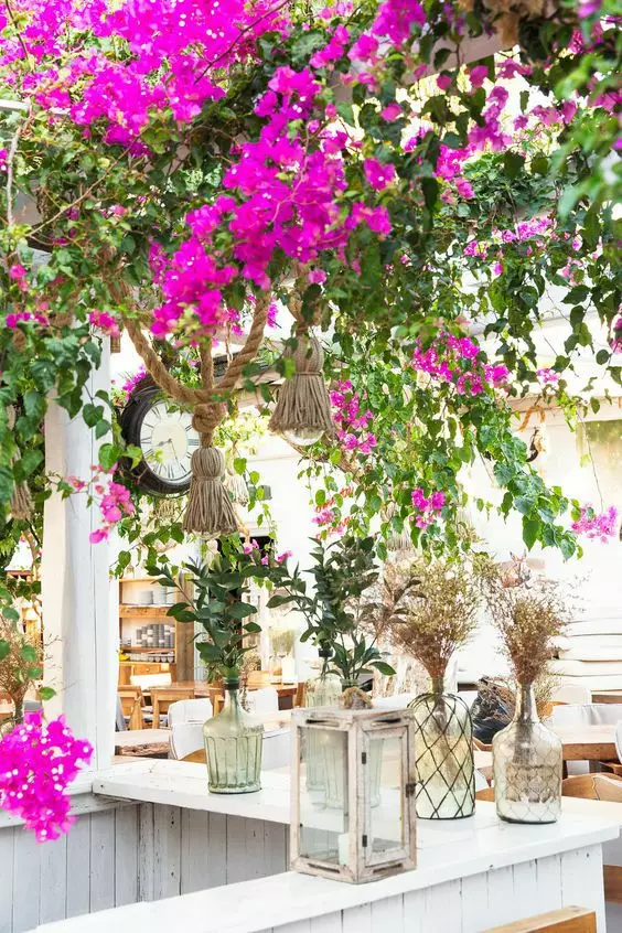 想要一個院子，安度餘生