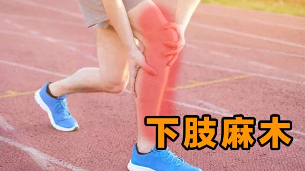 鐵腰板的真實性?正規產品值得信賴 鐵腰板的真實性?正規產品值得信賴