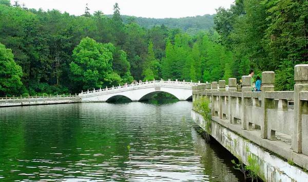 湖北一景區躥紅，被稱為“天然大氧吧”，距武漢1小時車程