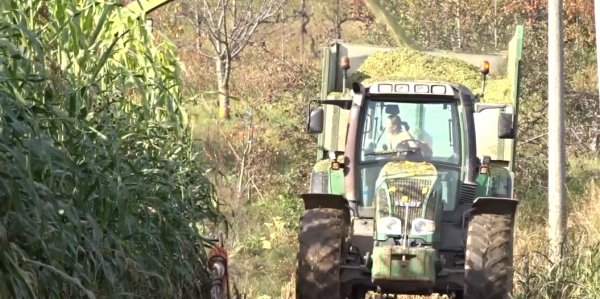 美國的農業實力有多強？會開拖拉機的女孩，真的是太酷了