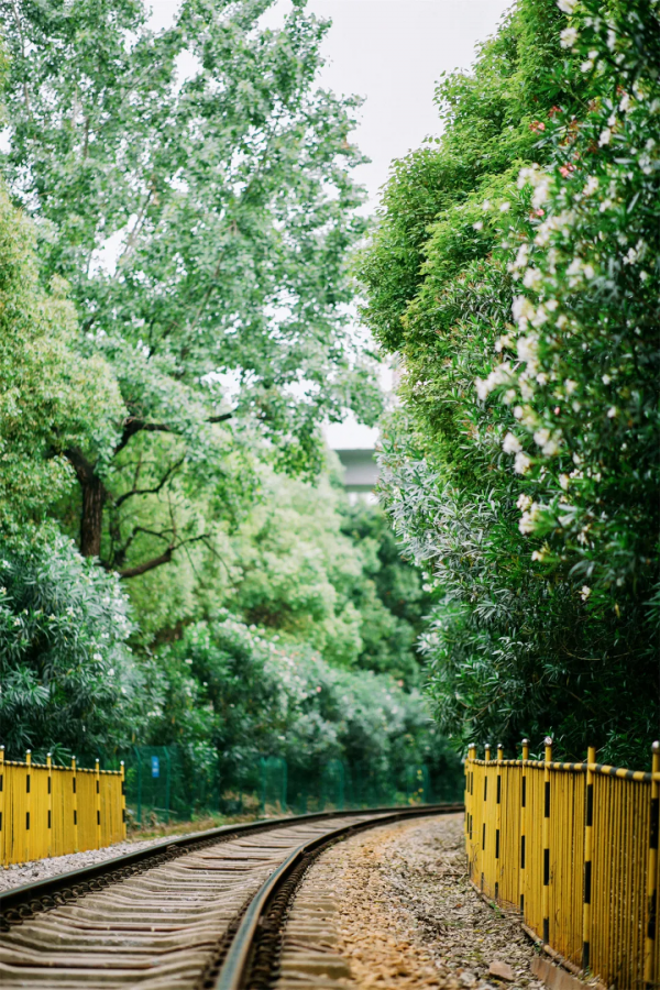 宮崎駿動畫裡的夢幻場景，竟藏在漢陽！