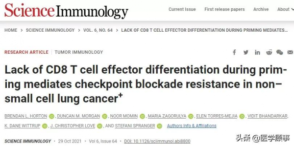 細胞因子療法有望逆轉T細胞功能障礙