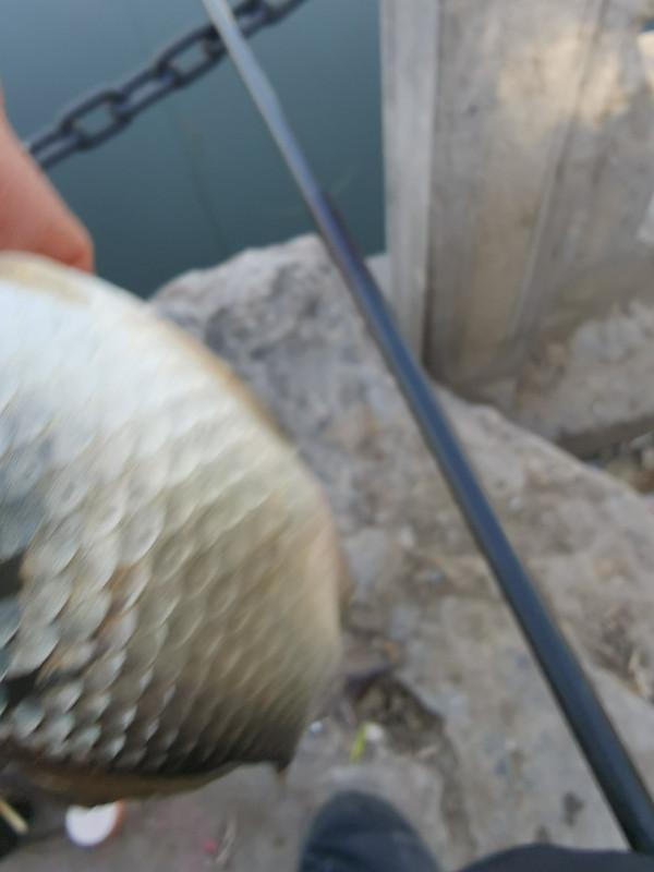 靈活多變才是漁獲的關鍵，大師的制勝法寶得好好學