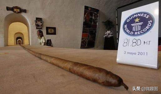 34個“極為瘋狂”的吉尼斯紀錄,看完覺得不可思議 34個“極為瘋狂”的吉尼斯紀錄,看完覺得不可思議