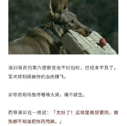 趙麗穎新劇官宣，央視親自宣傳排面大，卻被導演“拖後腿”