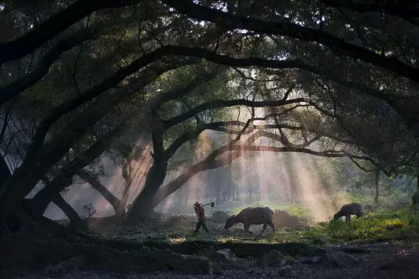 12月旅行推薦：10個人少景美的地方，用旅行給2021畫上句號吧