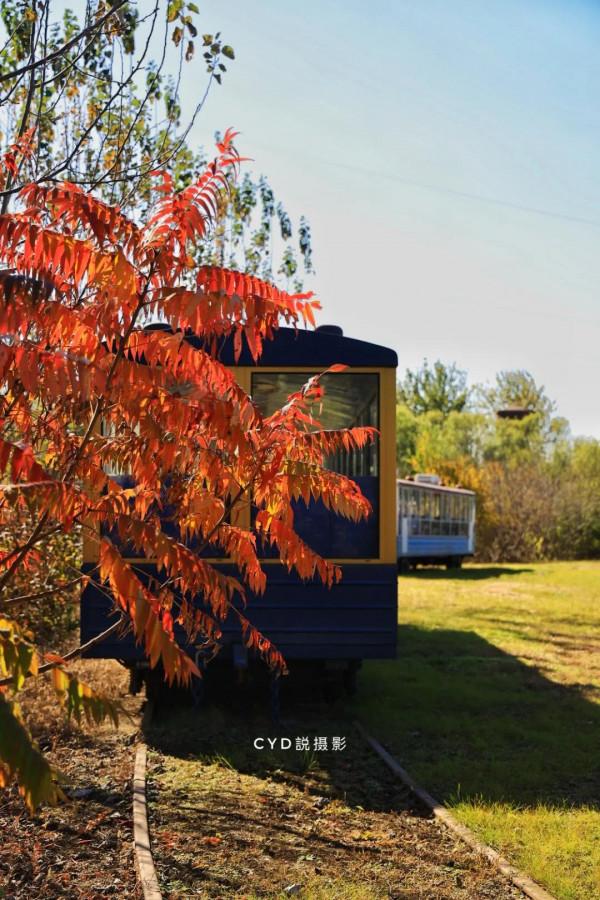 記錄南湖晚秋的色彩 記錄南湖晚秋的色彩