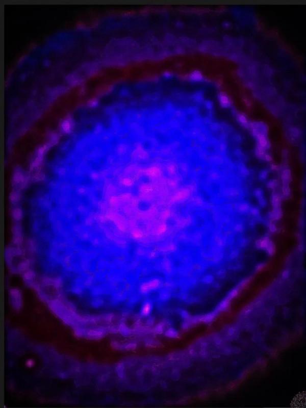 普通的天空藏著神奇的宇宙