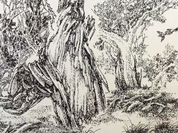 楚王（01）楚熊蚤：原名鬻熊，周文王的火師，楚國的創始奠基人