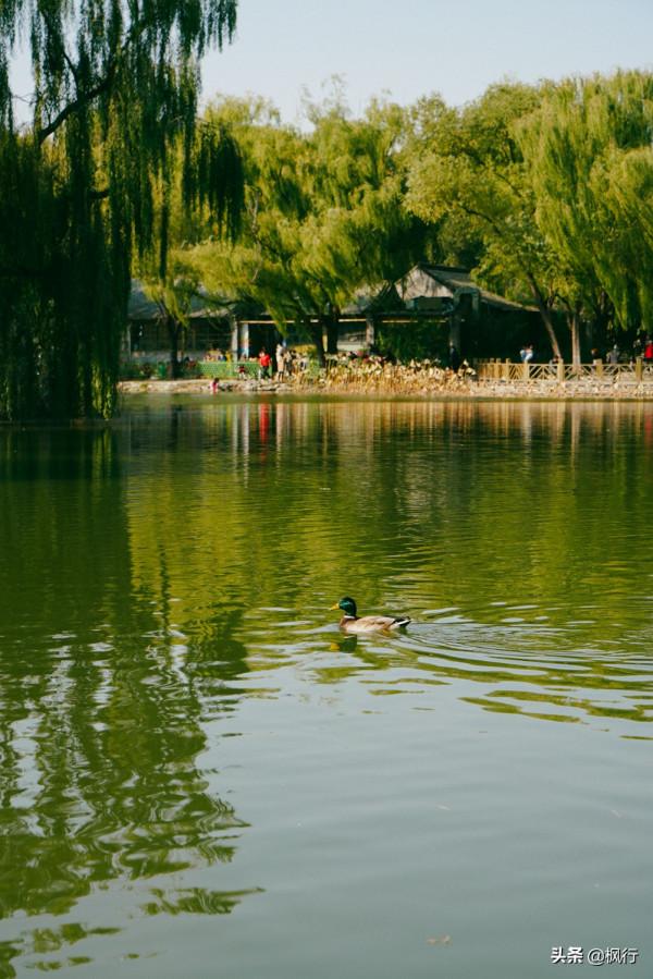 北二環高質量閒逛，三個免費公園，串聯起京城別樣秋天