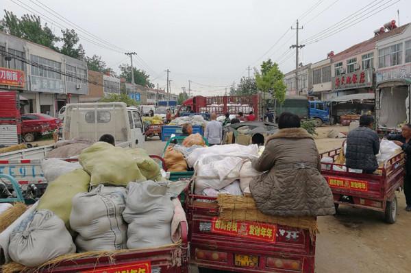 薇婭偷逃稅被罰13.41億，農民網上賣菜要繳稅嗎？看看規定咋說