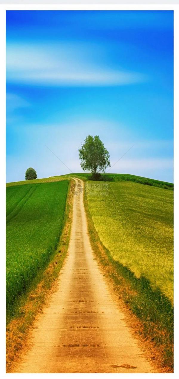 特別漂亮的路風景分享