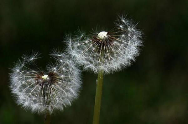 人生要解決的50個關鍵問題 No.02 完美 世界並不完美,人生當有不足 人生要解決的50個關鍵問題 No.02 完美 世界並不完美,人生當有不足