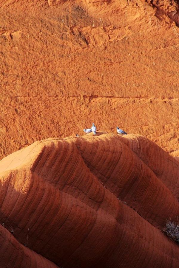 大美靖邊-丹霞地貌-大自然神奇 大美靖邊-丹霞地貌-大自然神奇