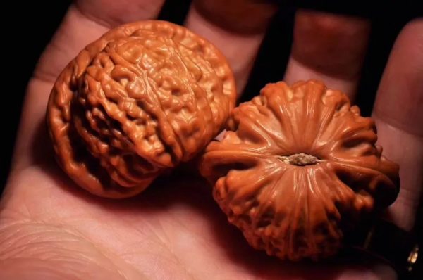 油亮如漆，盤核桃小技巧