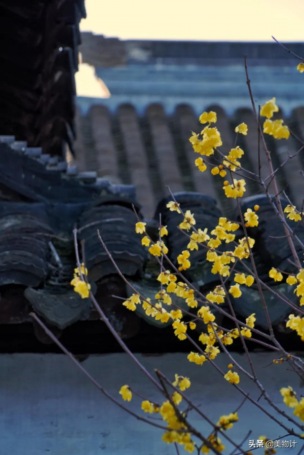 忽然，想去老街走一走