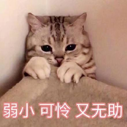 古裝美男有短板：李易峰發福，任嘉倫腿短，成毅全靠“破碎感”？