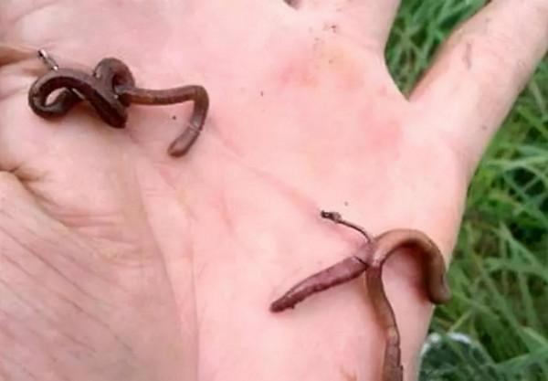 霜降之後就入冬，到底怎麼做，才能讓我們的漁獲更好看一些