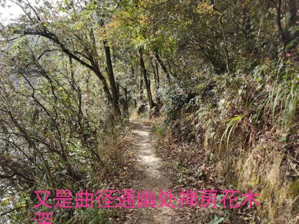 到野鴨湖徒步 到野鴨湖徒步