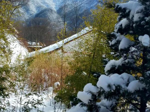 秦嶺山之雪景&num;