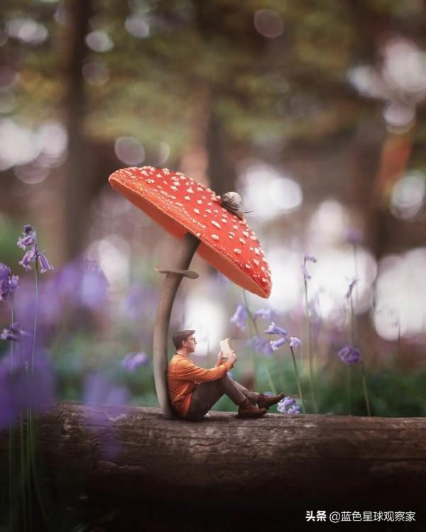 11月新鮮出爐,30張開啟孩子想象力的攝影作品 11月新鮮出爐,30張開啟孩子想象力的攝影作品