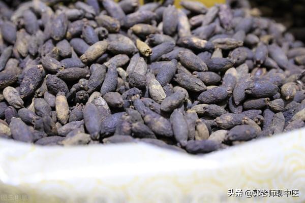 腎病綜合徵莫要慌,中藥亦可來幫忙 腎病綜合徵莫要慌,中藥亦可來幫忙