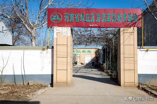 河南李彥軍：破解了國內豆芽行業的壞菜難題，打破了南北氣溫差異