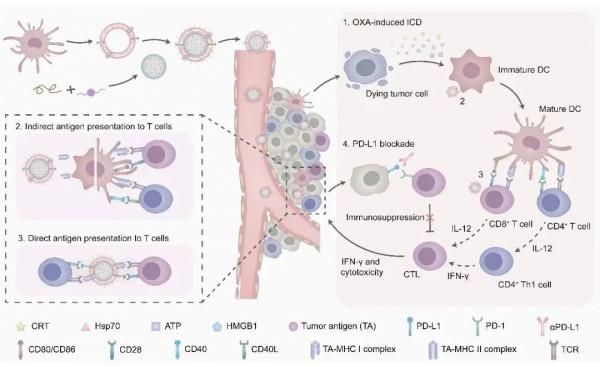 科研速遞 | 復旦上醫2022年1月科研成果一覽
