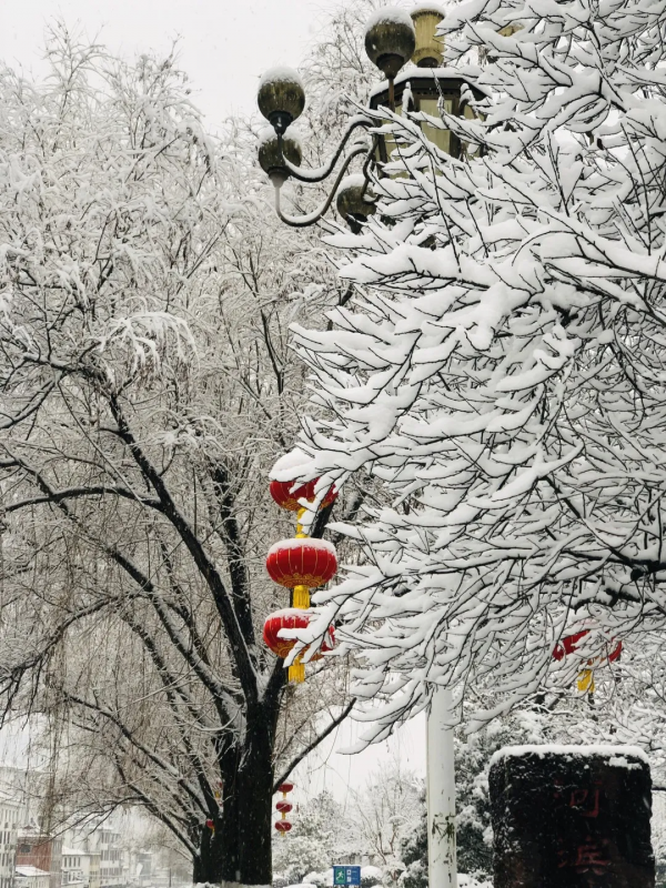 留壩：雪花紛飛迎新春 銀裝素裹靚山城