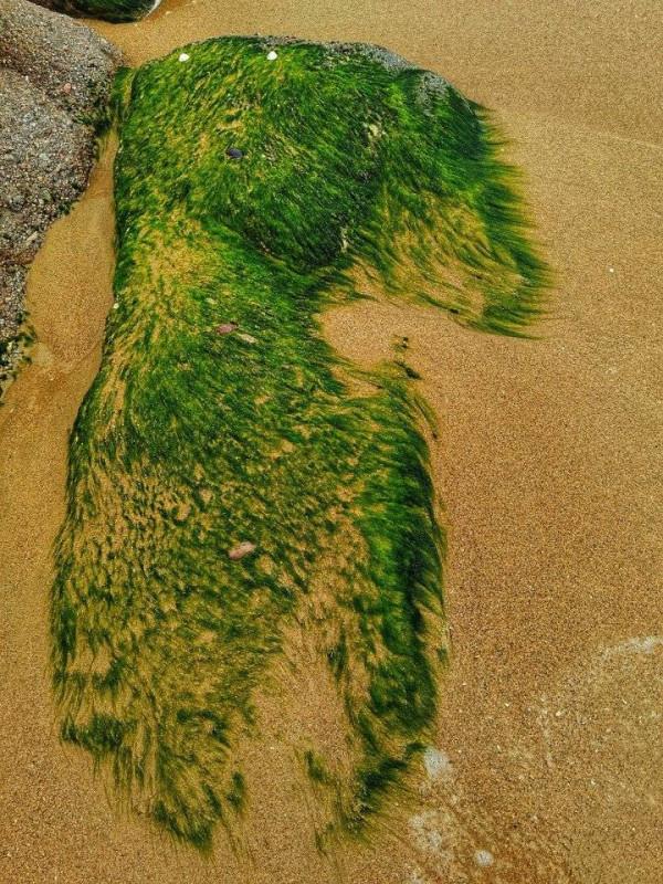 海邊&mdash;&mdash;石