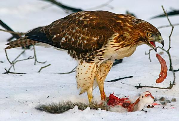 28張圖片帶你看看你不瞭解的世界，看完整個人都舒服了