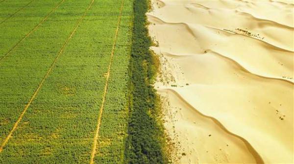 破解沙子向土壤轉換的力學“密碼”