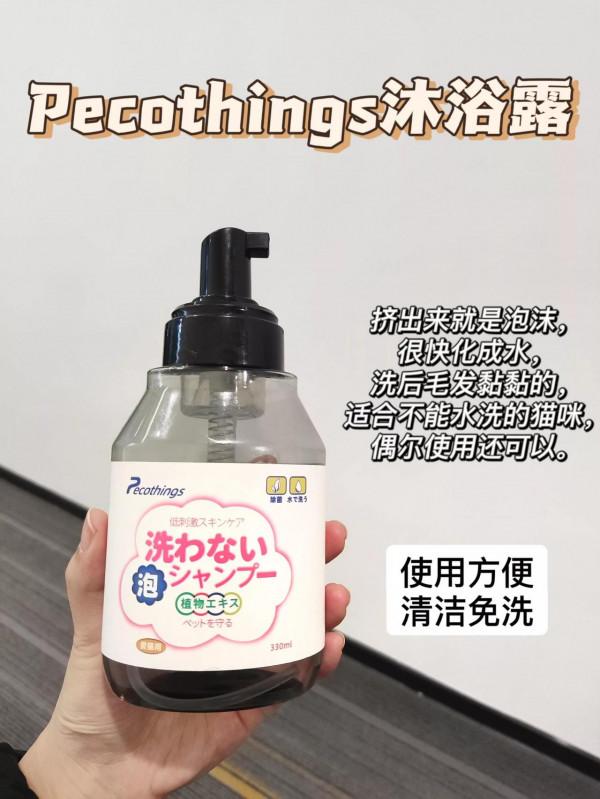 貓咪身上臭烘烘？可能這幾點被你忽略了