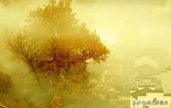 秋天最美的7大城市