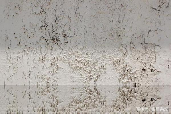 牆面起泡，是什麼原因？怎麼處理呢？有什麼預防的辦法呢？