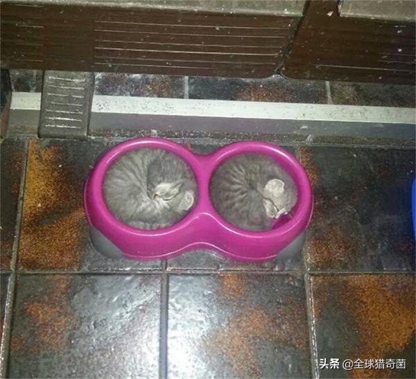 35張“活久見”的完美圖片，強迫症瞬間被治癒了