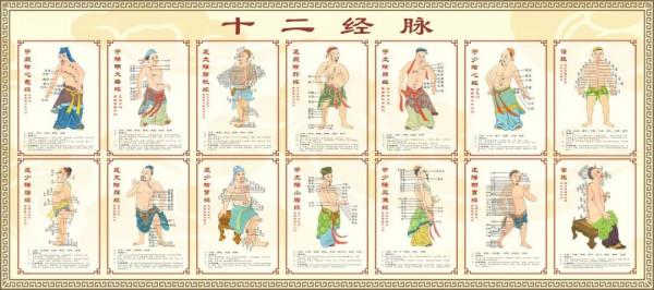 國醫大師石學敏：經筋刺法及應用