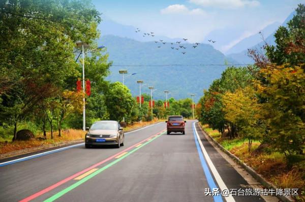 太治癒了！初冬美景全新上線