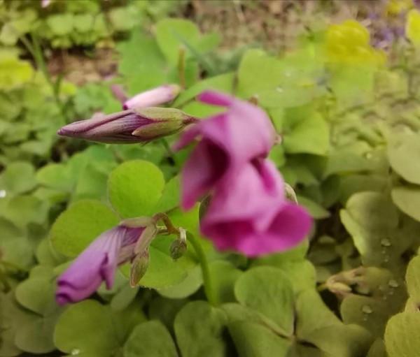 你,是不是我身邊的老蔡? 你,是不是我身邊的老蔡?