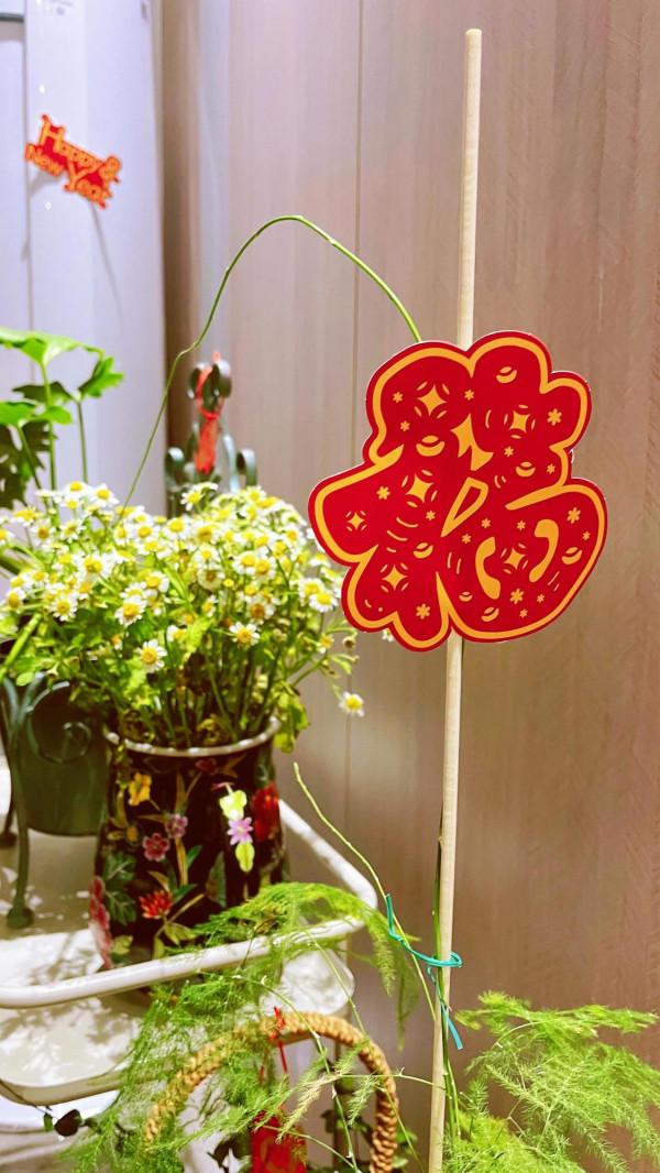 紅紅火火過大年