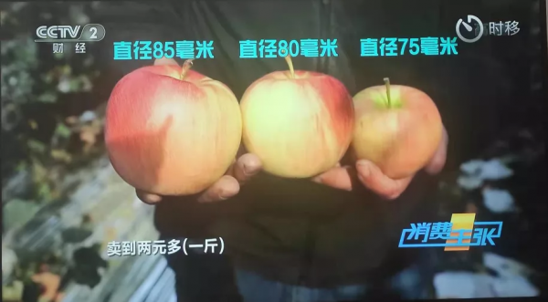 紅富士蘋果今年不好賣？那什麼樣的蘋果更好賣？