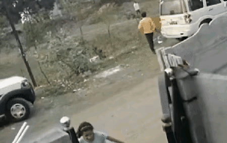 印度小鎮：一隻小猴被狗咬死，鎮上250多條狗，遭到猴群報復殺害