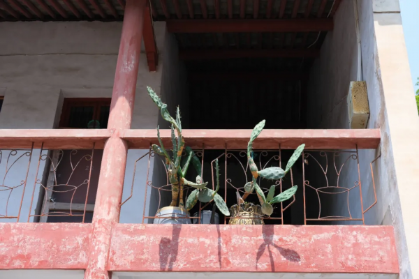 別再說什麼小京都了，寧波這些寺廟來打臉了