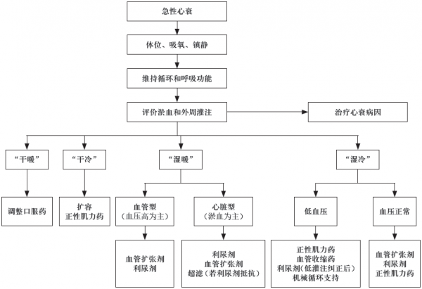 強心利尿擴血管，“三板斧”應該這樣用