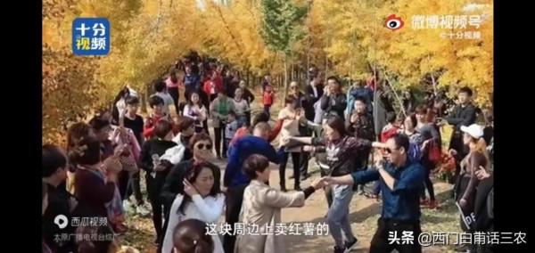 山西農民25年前栽種2000棵銀杏，25年後，天上掉下個“聚寶盆”