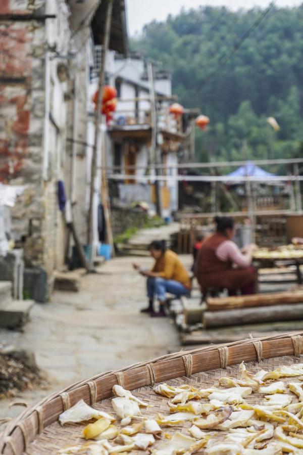 俗話說“造屋不造山脊首”,這座村莊為何偏建在險峻的山脊上? 俗話說“造屋不造山脊首”,這座村莊為何偏建在險峻的山脊上?