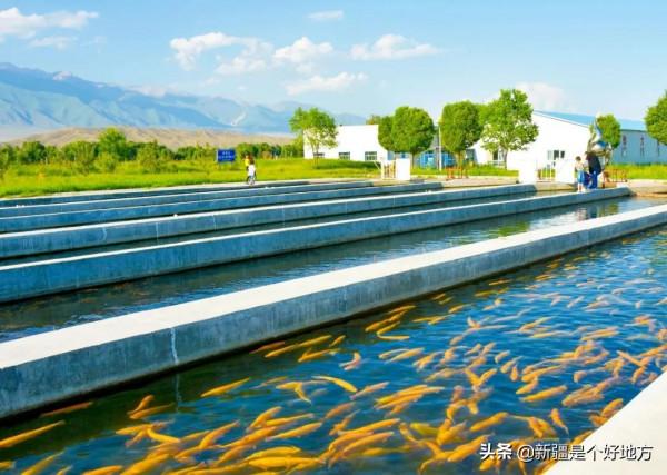 打卡中國最美邊防線新G219從這裡開始